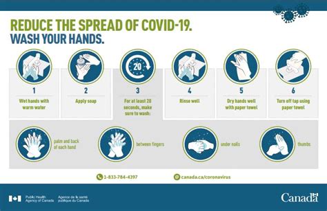 1700 x 2200 png 120 кб. Reduce the spread of COVID-19: Wash your hands infographic - Canada.ca