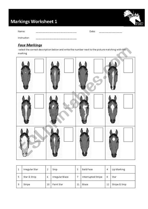 Printable Horse Care Worksheets Printable Worksheets