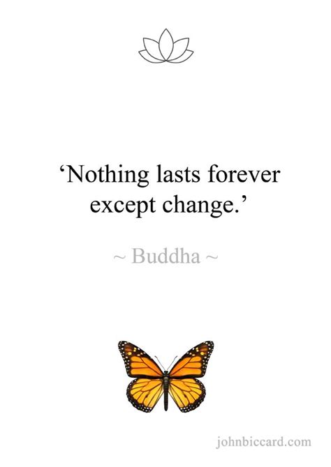 But nothing is lost is a 2005 album by shpongle. Nothing lasts forever except change.' ~ Buddha | Nothing lasts forever quotes, Forever quotes ...