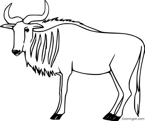 New users enjoy 60% off. Wildebeest Coloring Pages - ColoringAll