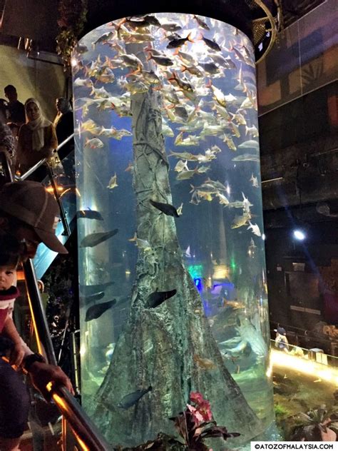 Make your way to the centre court of the concourse level. Freshwater Journey, Aquaria KLCC | A to Z of Malaysia