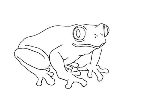 How To Draw Amphibians Step By Step Easy Animals 2 Draw