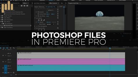 How to Use Photoshop files in Premiere | Adobe premiere pro, Premiere 