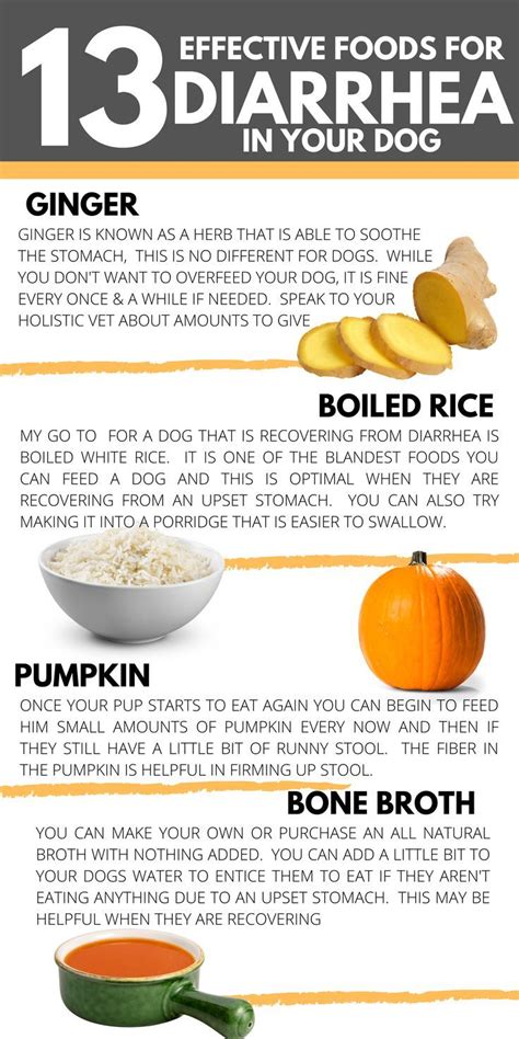 Pin On Dog Food Recipes