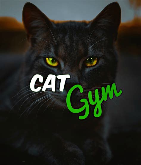 Cat Gym