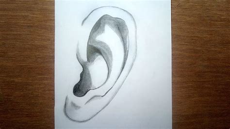 How To Draw An Ear For Beginners Step By Step Very Easy Youtube