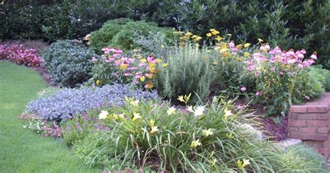 We vote that you check out the best perennial flowers and plants when drawing up your garden. Perennials add pizazz to small front yard, Marietta, GA ...