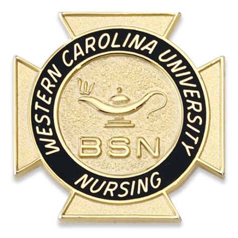 Bsn Nursing Pins