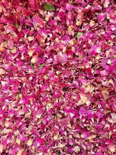 Dried Pink Rose Petals Packaging Size 10 Kg And 20 Kg At Rs 900kg In