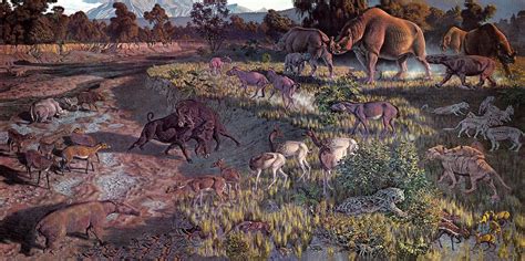 Oligocene Plants And Animals