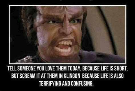 A Gallery Of Funny Star Trek React Memes