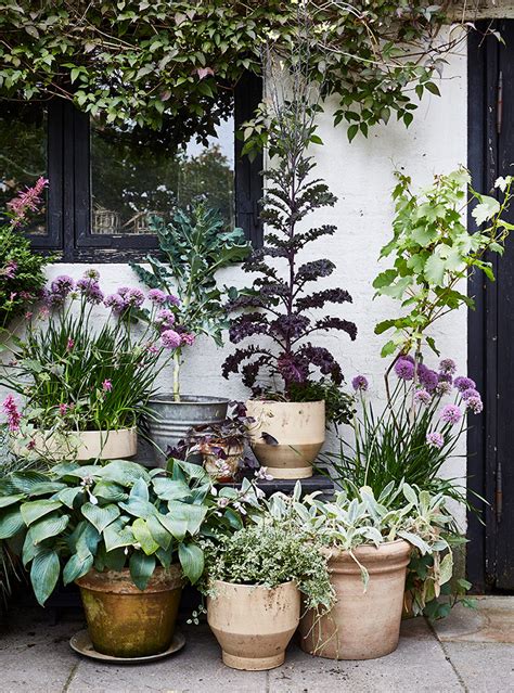 Beautiful Gardening Inspiration From Selina Lake Lobster And Swan