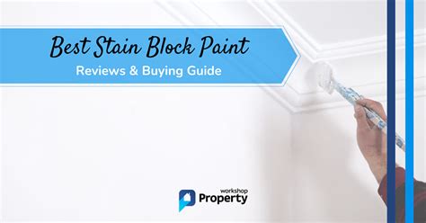 Best Stain Block Paint In 2024 Reviews And Buying Guide