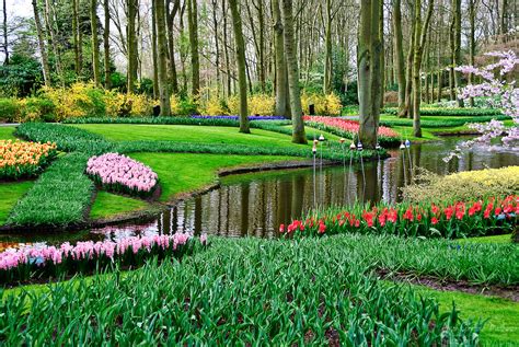 Keukenhof Spring Tulip Gardens Lisse The Netherlands Alison