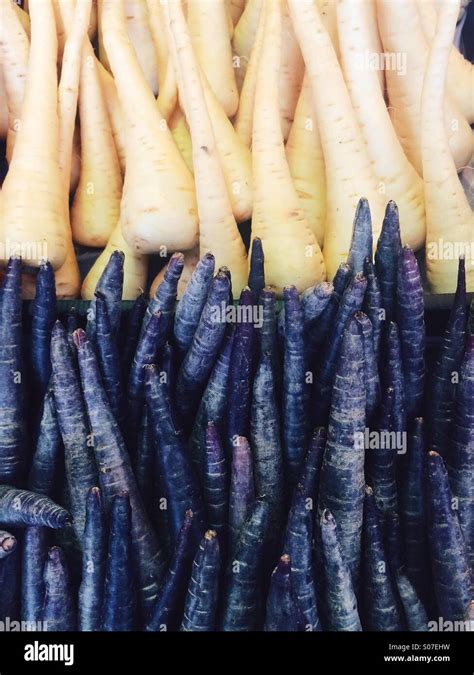 Purple Carrots And White Parsnips Stock Photo Alamy