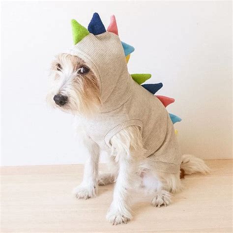Cuddly Dino Diy Dog Costumes Dog Clothes Dog Lover T Guide