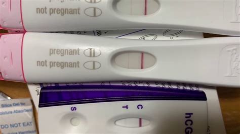 Live Pregnancy Test 10dpo Bfp Youtube
