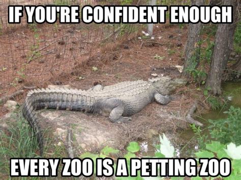 If Youre Confident Enough Every Zoo Is A Petting Zoo Zoo Animals