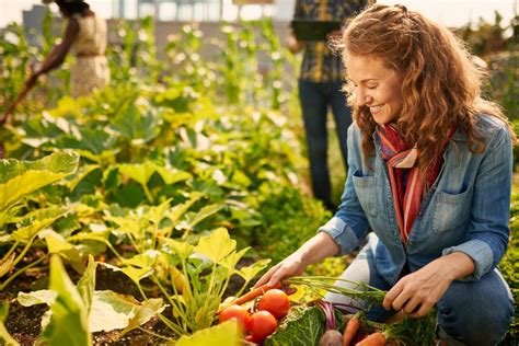 How To Grow And Maintain A Community Garden Factory School