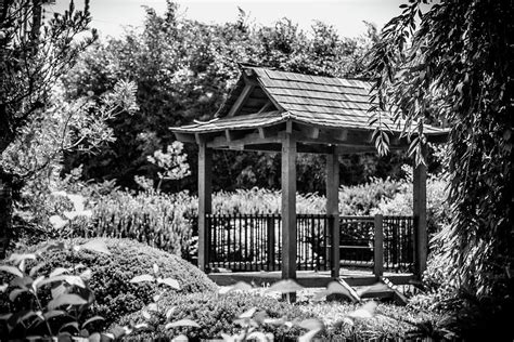 Gazebo In Japanese Garden Photograph By Hyuntae Kim Fine Art America