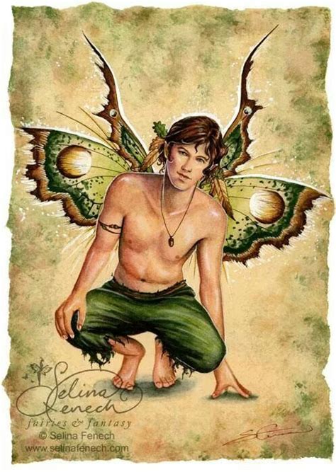 Fairy Boy Male Fairy Fairy Art Faeries