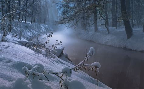 Foggy Winter Night Wallpapers Wallpaper Cave