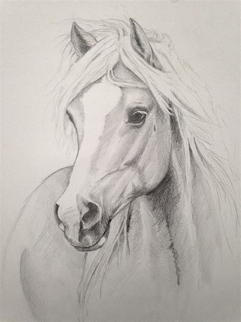 Here presented 50+ pencil drawing animals images for free to download, print or share. beautiful drawing | Horse drawings, Pencil drawings of animals, Horse sketch