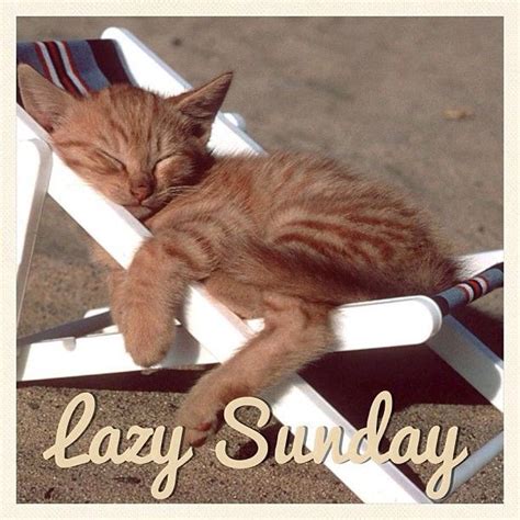 Lazy Sunday Afternoon