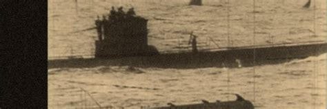 More proof a Megalodon did not swim with the Nazis | Ars Technica