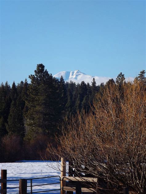 Mt Lassen In Northern California Over Trees Meadow And Snow Oc