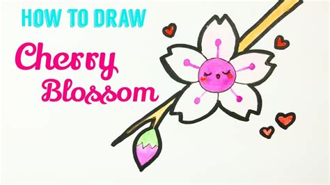 How To Draw Cherry Blossom Easy And Cute Cherry Blossom Sakura Drawing