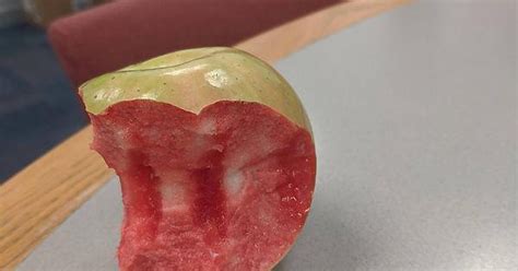 I Bit My Apple And It Was Red On The Inside Mildlyinteresting