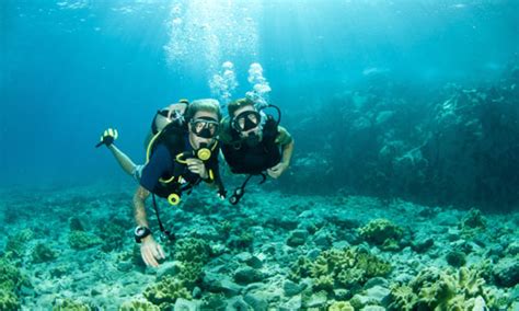 Scuba Diving Bahamas Travelalerts