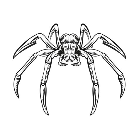 Best Images Of Spiders For Halloween Printable Halloween Spider Coloring Pages Free