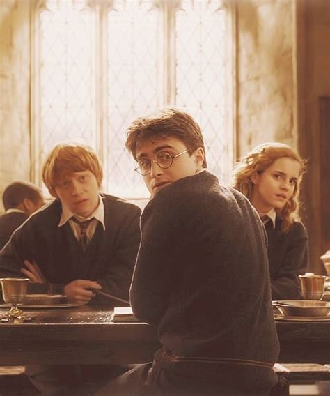 The Golden Trio Обои Containing A Chainlink Fence In The Harry Ron And