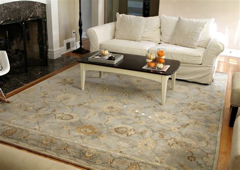 Rugs For Cozy Living Room Area Rugs Ideas Roy Home Design