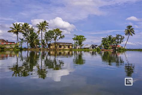 Kerala Backwaters 43