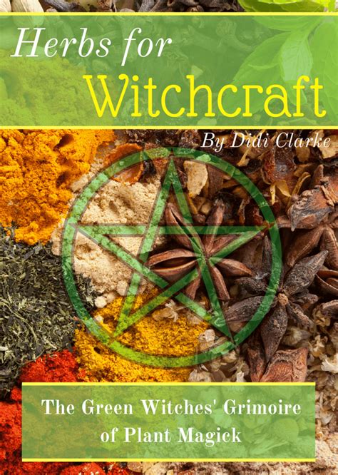 Wiccan Plants And Herbs Every Witch Should Grow