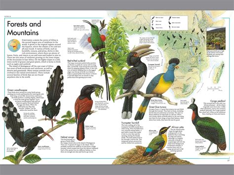 The Bird Atlas By Richard Orr Penguin Books Australia