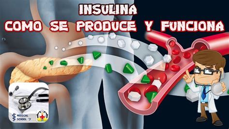 Quais Técnicas São Utilizadas Na Produção De Insulina Humana Sintética