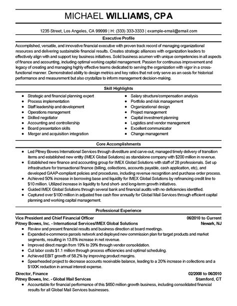 Professional Financial Executive Resume Example