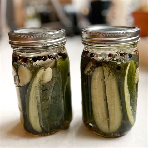 50 Unbelievable Facts The Intriguing History Of Pickles Revealed 2024