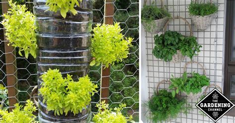 10 Fun Vertical Gardening Ideas Gardening Channel