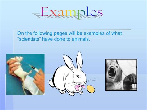 Ppt Animal Testing Powerpoint Presentation Free Download Id3833534