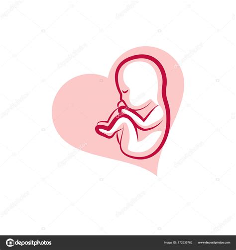 Human Fetus Hand Drawn Illustration Stock Vector Image By ©ostapius