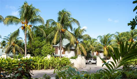 Indian Ocean Lodge Hotel Aussenbereich Praslin Seychellen Foto 20
