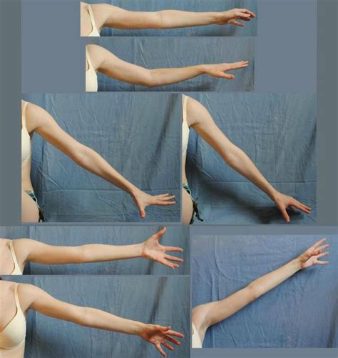 Arms Side 13 By Piratelotus Stock On Deviantart Female Anatomy
