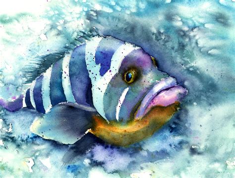 The Fish Watercolor Painting By Paintispassion On Dribbble