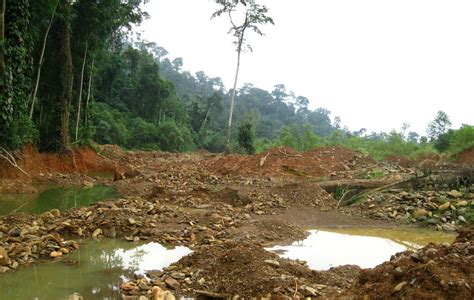 Forest Degradation 1024x649 Agrointroductions Ghana