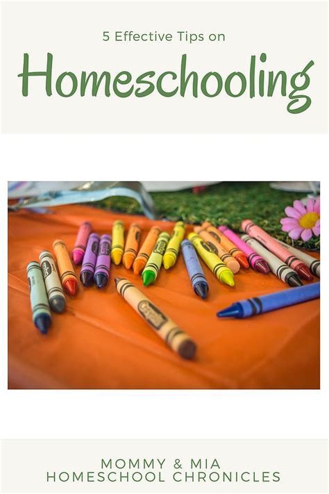 “5 Homeschooling Tips To Help You Get Started On The Right Track